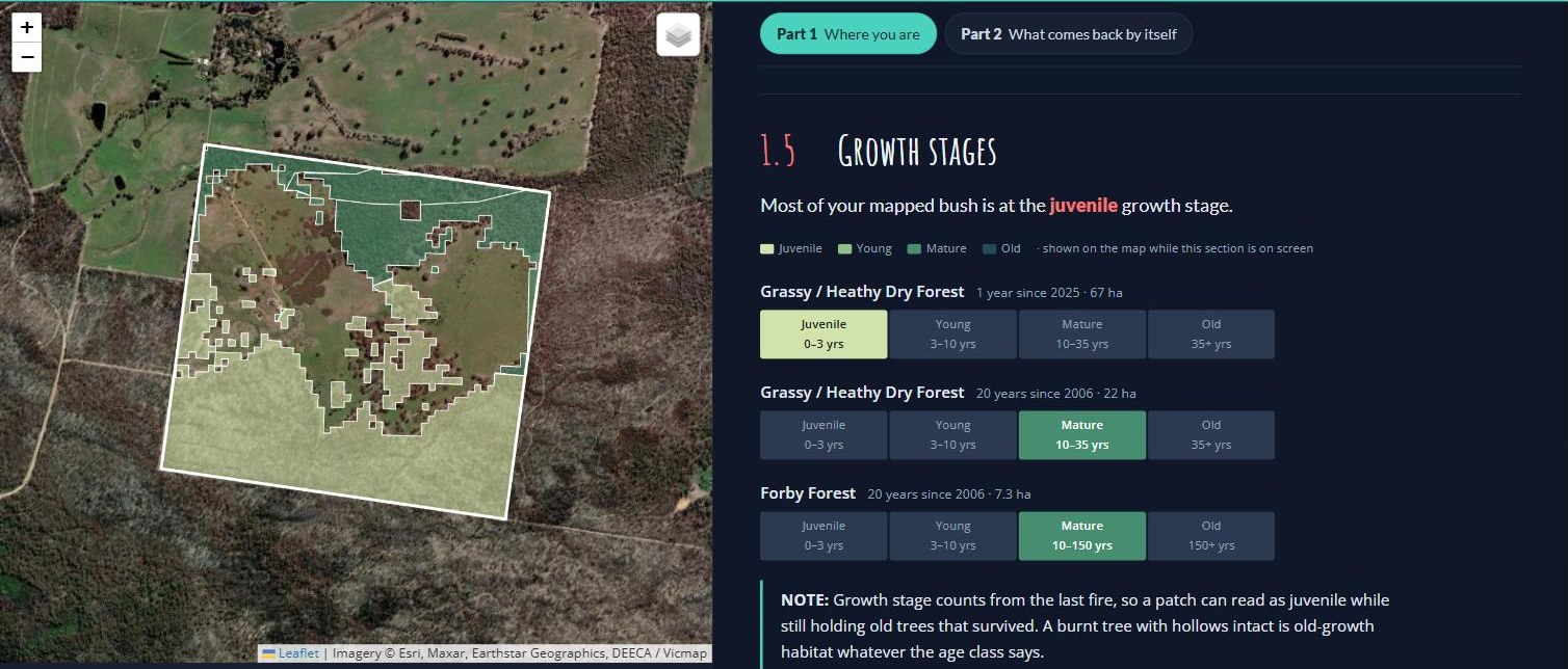 Section 2.1 of the lookup tool for the example block: juvenile Grassy / Heathy Dry Forest since 2025, and mature Grassy / Heathy Dry Forest and Forby Forest since 2006, with the block coloured by stage on the map.