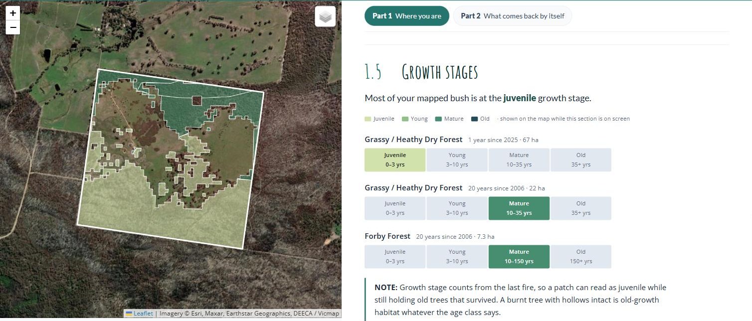 Section 2.1 of the lookup tool for the example block: juvenile Grassy / Heathy Dry Forest since 2025, and mature Grassy / Heathy Dry Forest and Forby Forest since 2006, with the block coloured by stage on the map.