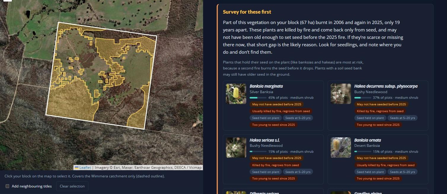 The Survey for these first group for the example block: plant cards for Silver Banksia, two needlewood hakeas and Desert Banksia, each flagged as may not have seeded before 2025.